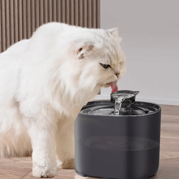 Quiet USB Cat Water Fountain