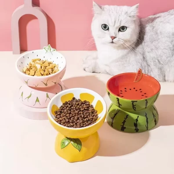 Elevated Ceramic Cat Bowl