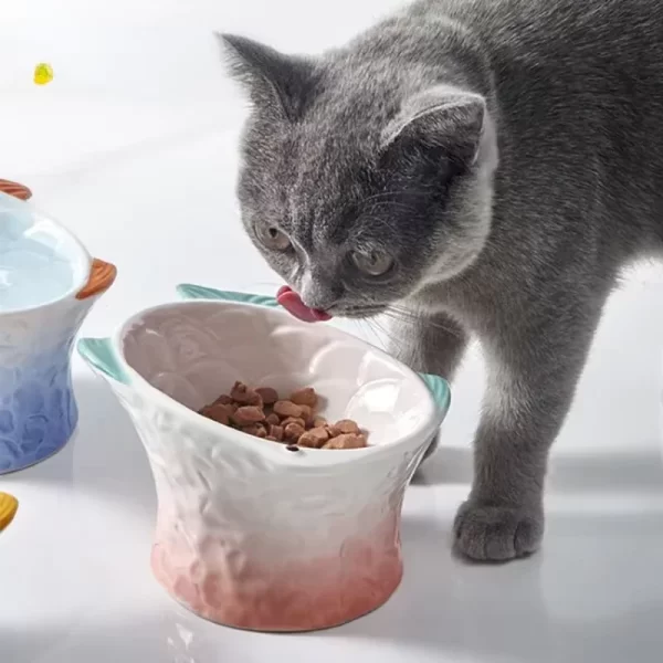 Elevated Ceramic Cat & Dog Bowl