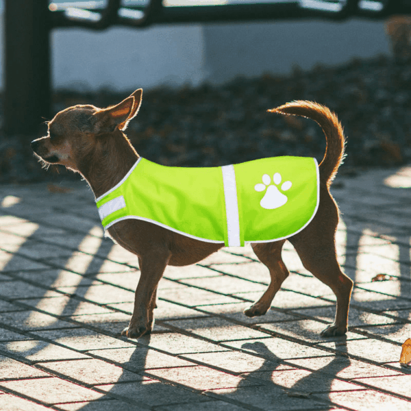 Adjustable Waterproof Reflective Dog Vest