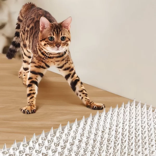 Anti-Cat Mat