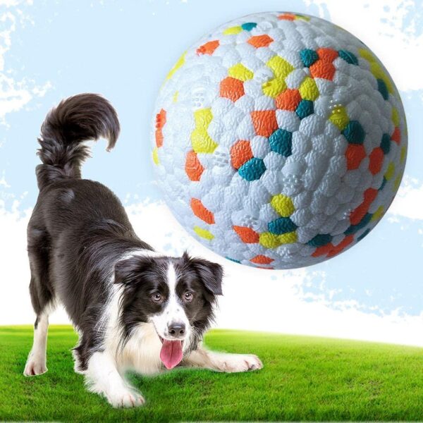 Bite Resistant Dog Ball