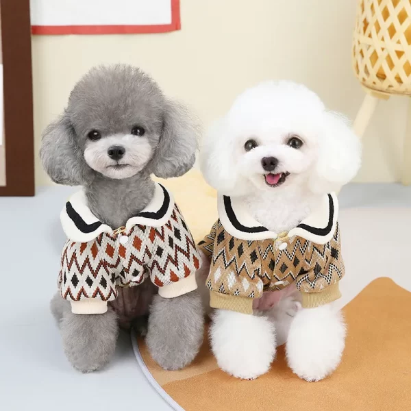 Apparel & Accessories