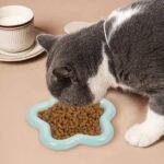 Cute Cartoon Ceramic Pet Bowl