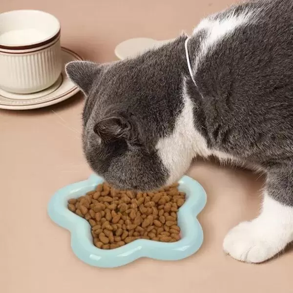 Cute Cartoon Ceramic Pet Bowl
