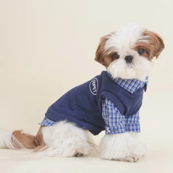 Checkered Hoodie with Bear Patch for Small Dogs