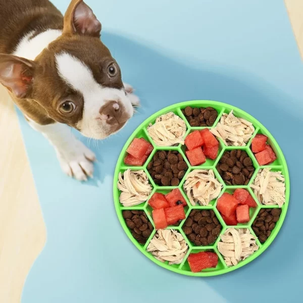 Non-Skid Silicone Slow Feeder Bowl for Dogs