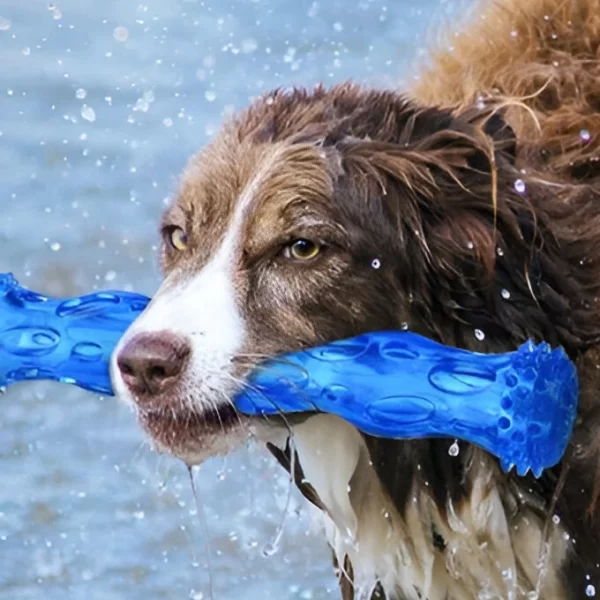 Bite-Resistant Rubber Dog Bone